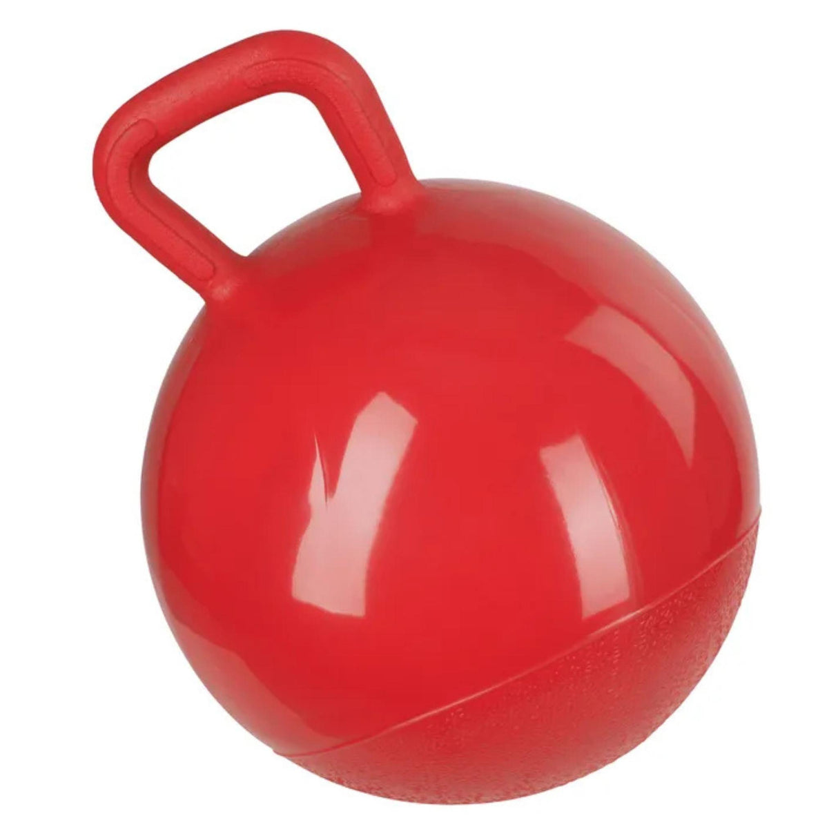 Lelupallo HorseBall
