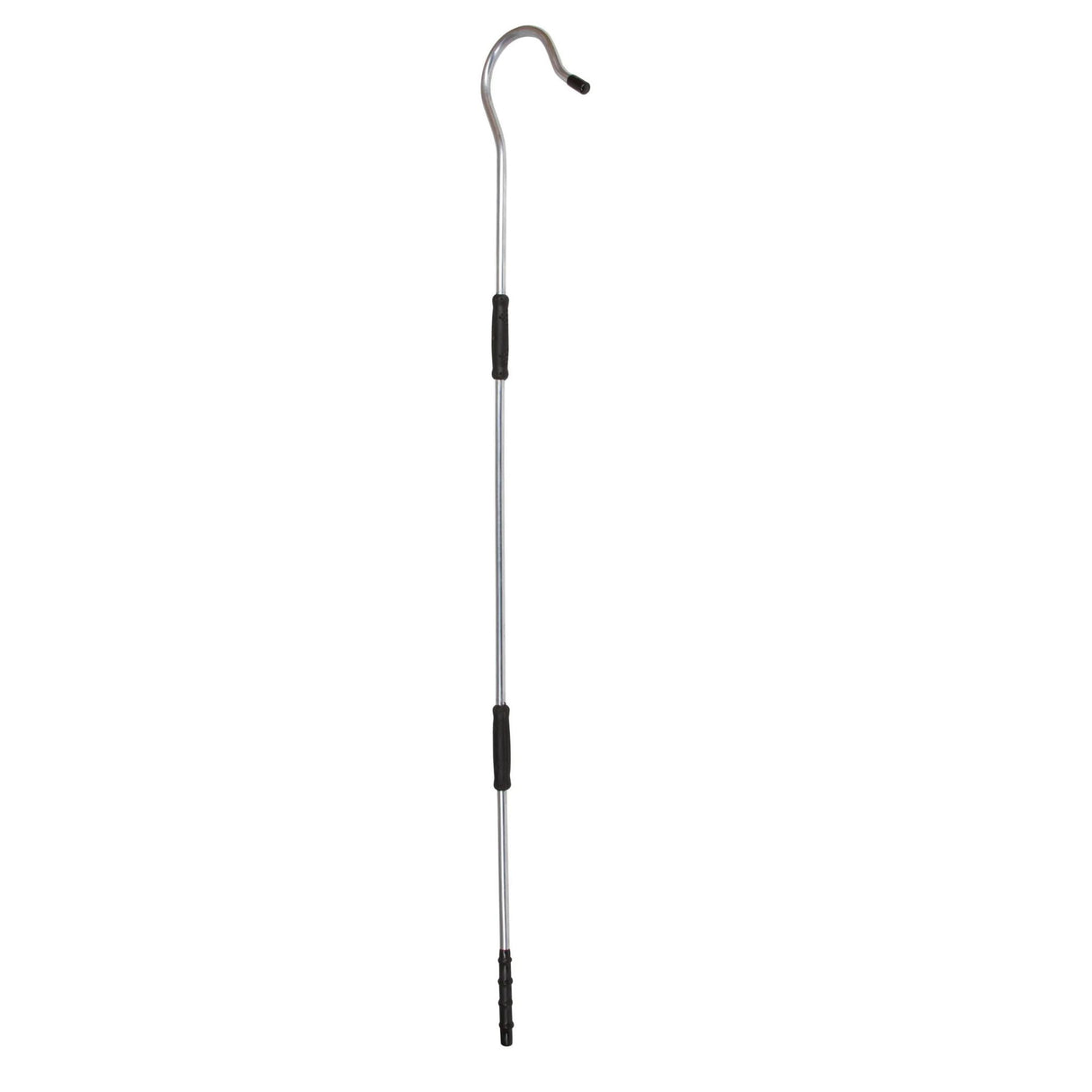 Paimensauva Crook