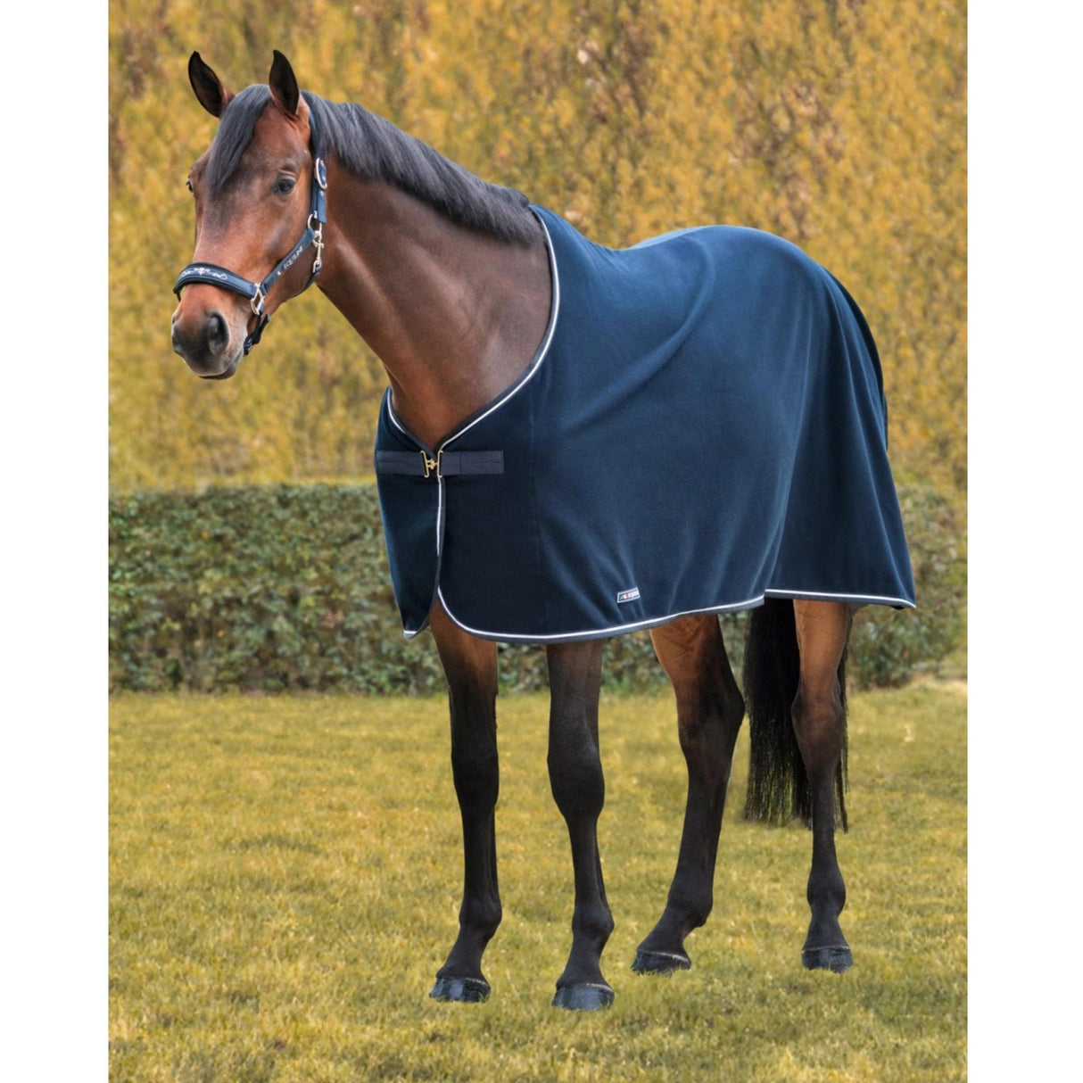 Fleeceloimi Leeds