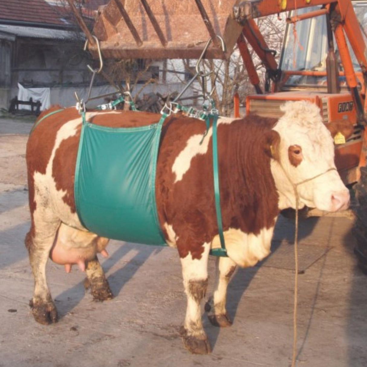 Naudan nostovaljaat max. 1000kg