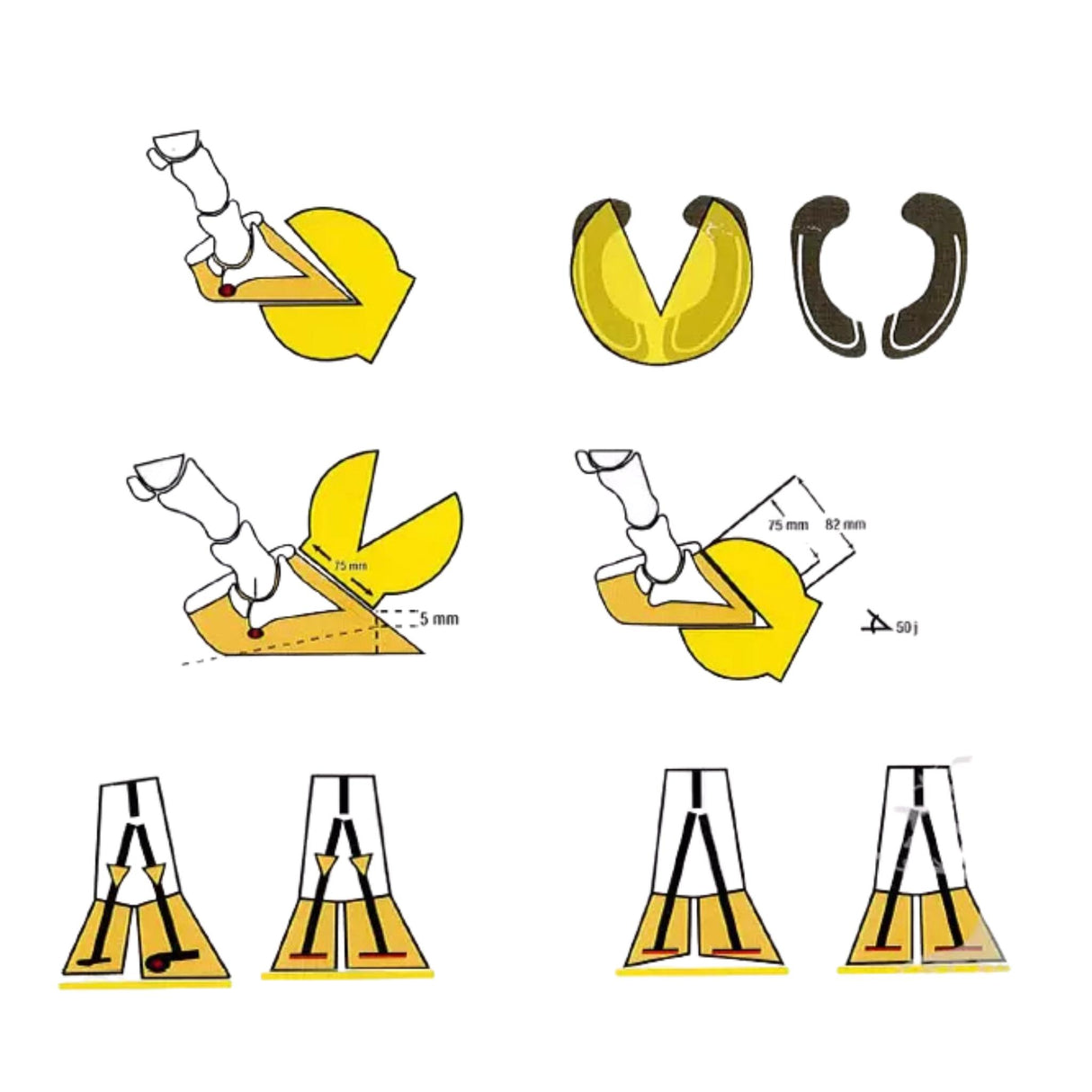 Sorkkamitta Claw-check