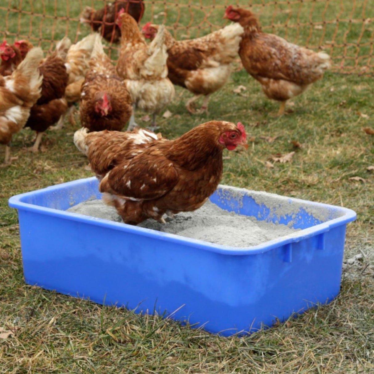 Yleisastia Universal Plastic Tray