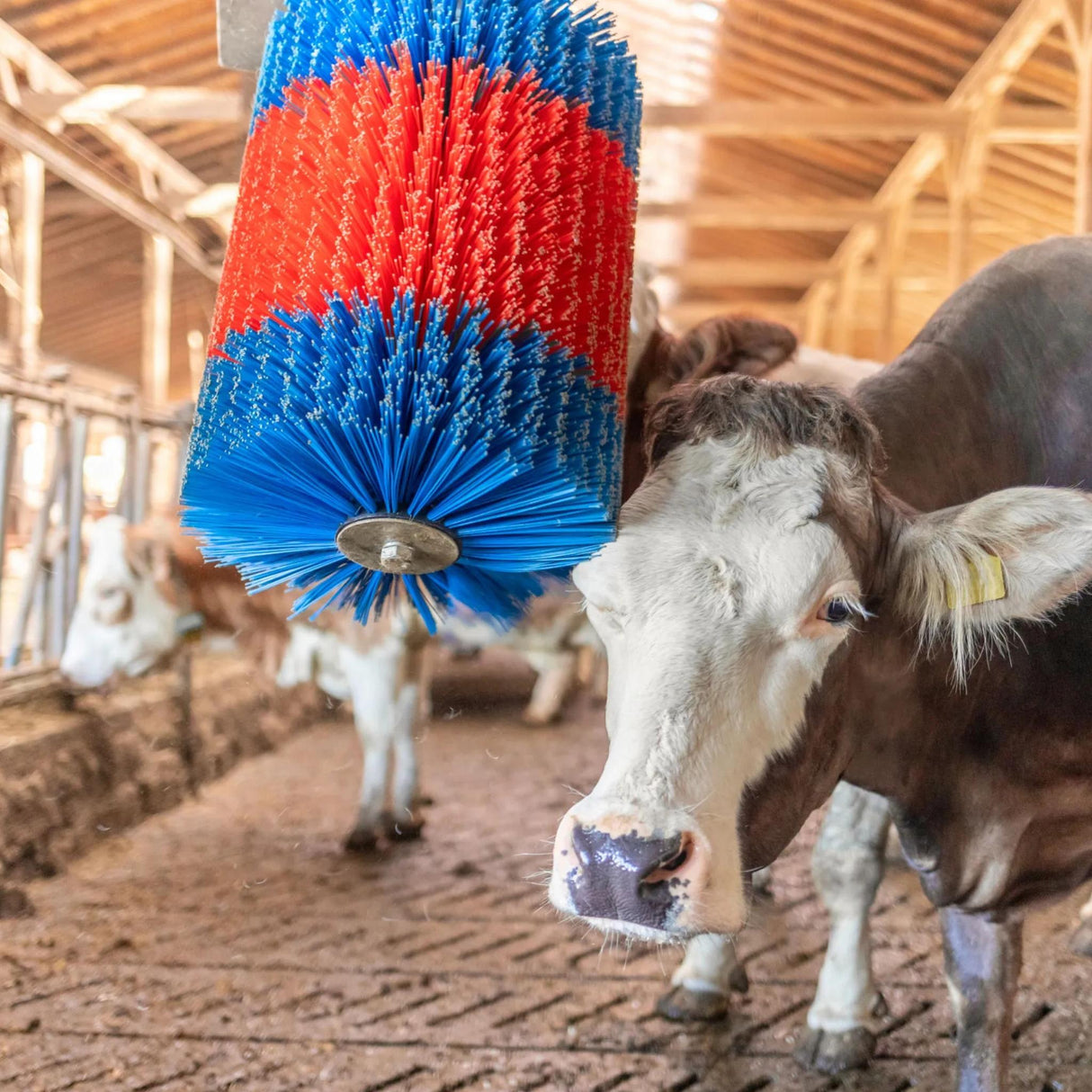 Automaattinen Karjaharja HappyCow MidiSwing