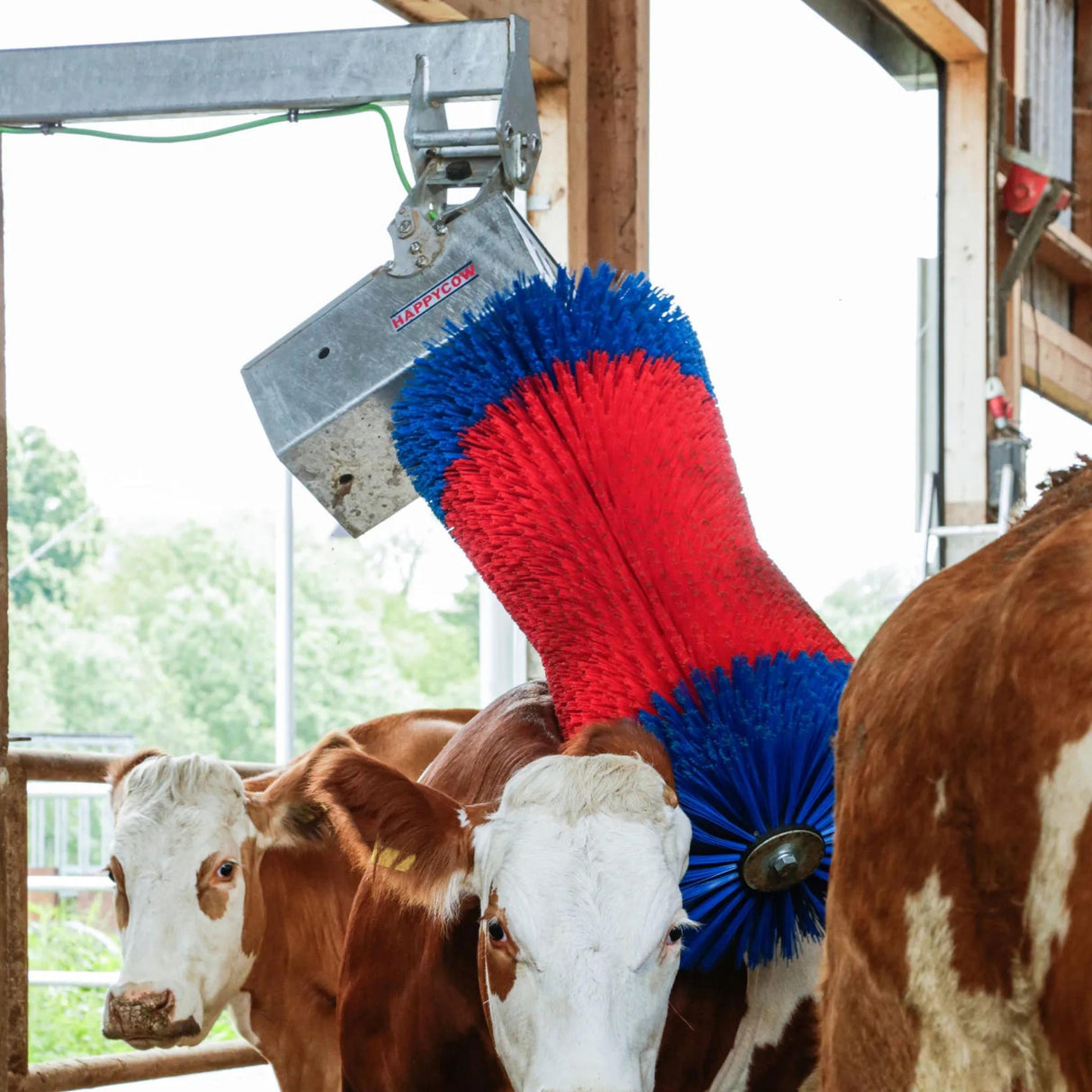 Automaattinen Karjaharja HappyCow MaxiSwing