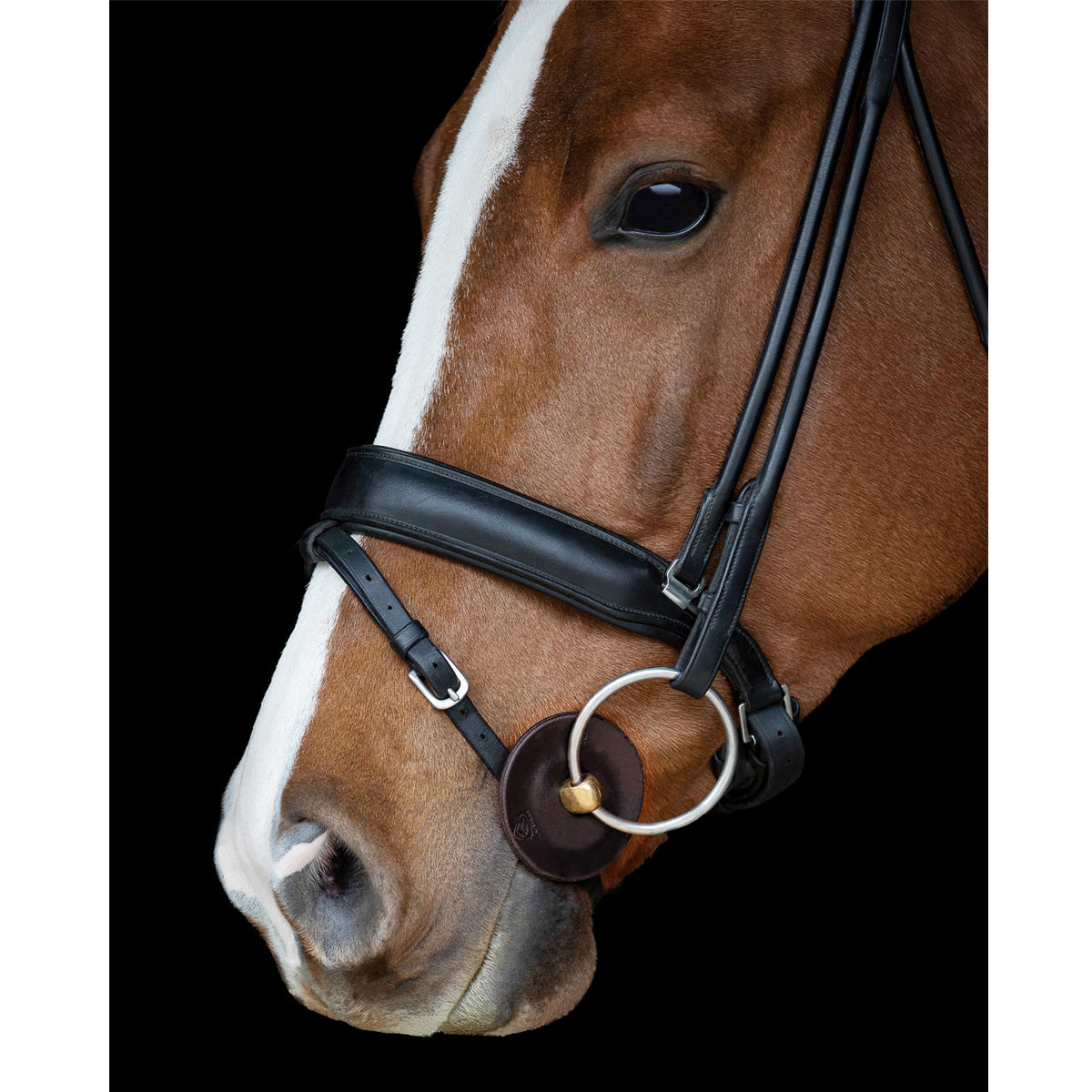Kumitutit Bit Guard Contoured Gel