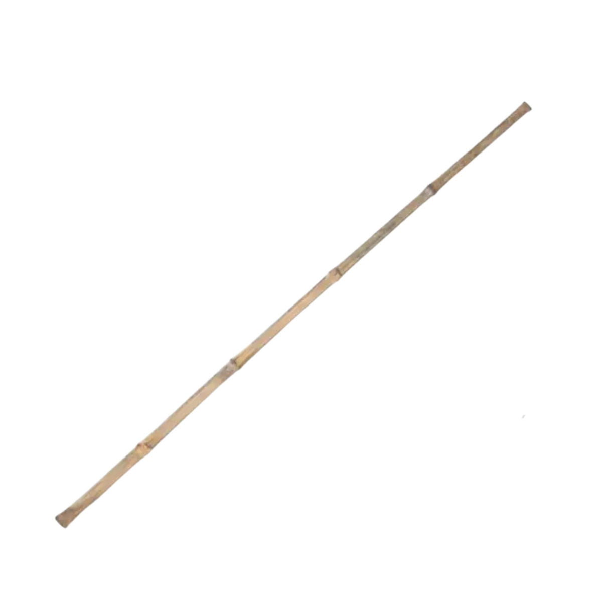 Bambuvarsi 100 cm