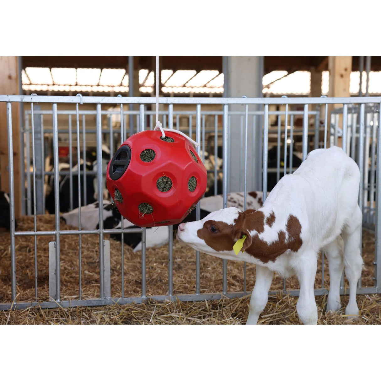 Heinäpallo Feed Ball