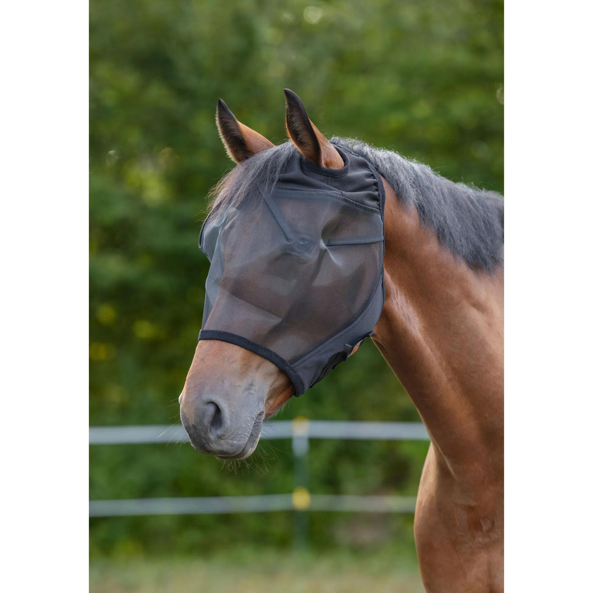 Kärpäshuppu Ear Cut -outs