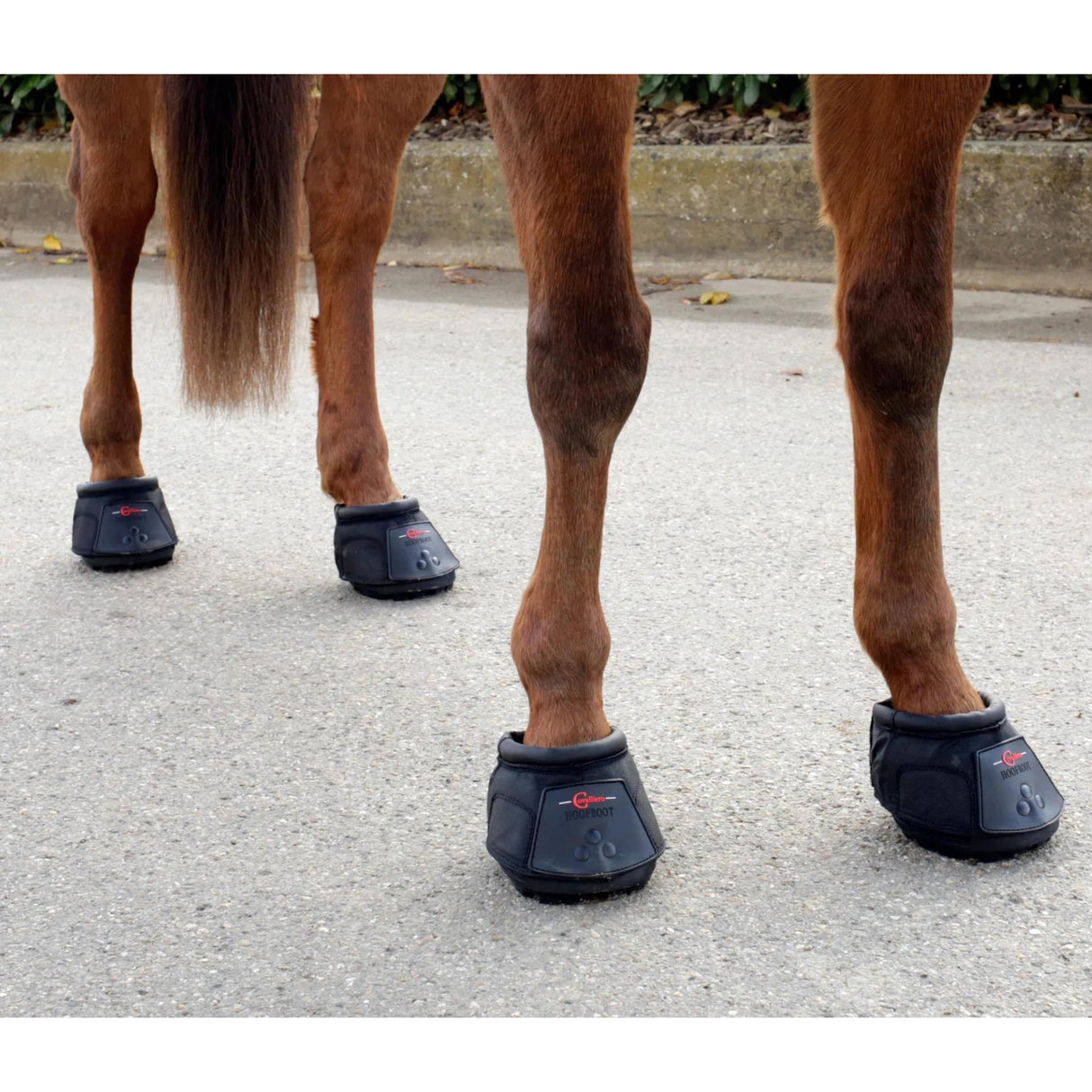Kavion Suojakenkä Hoof Shoe