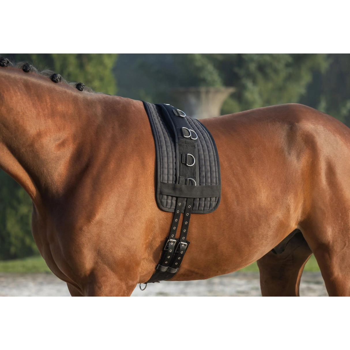 Juoksutuspad Lunging Pad
