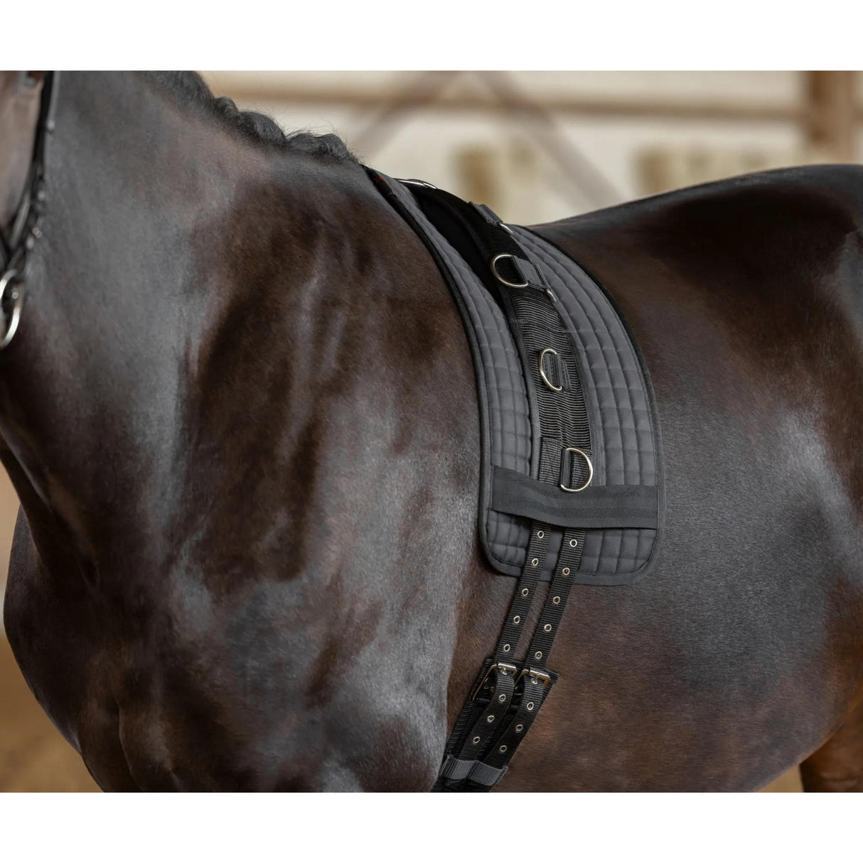 Juoksutuspad Lunging Pad