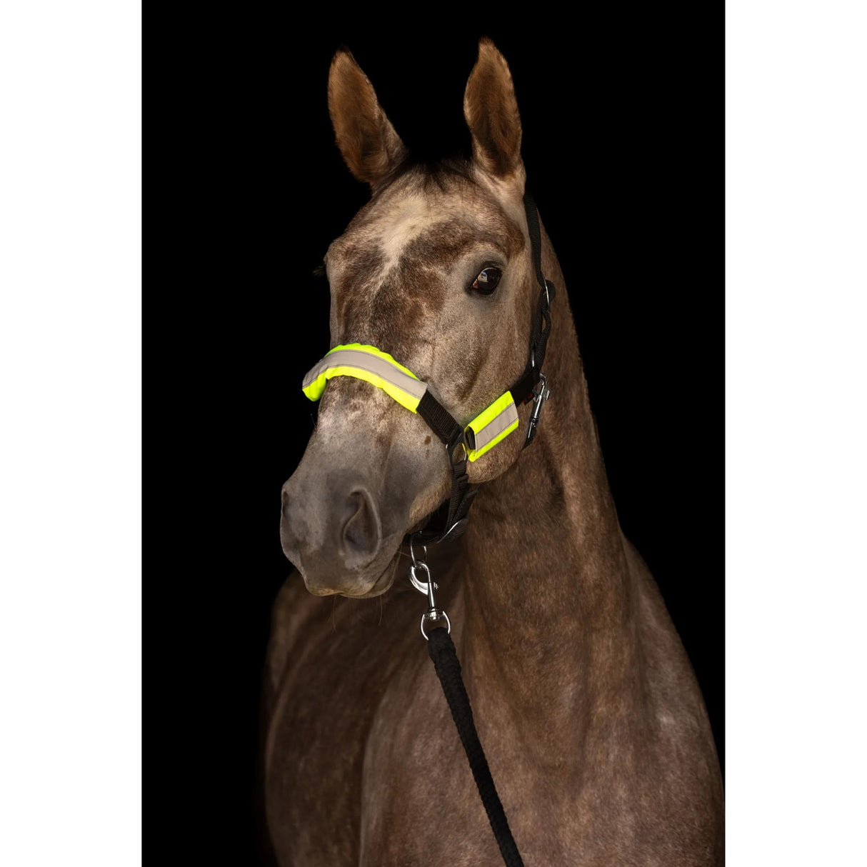 Heijastinsetti Reflective Halter Set