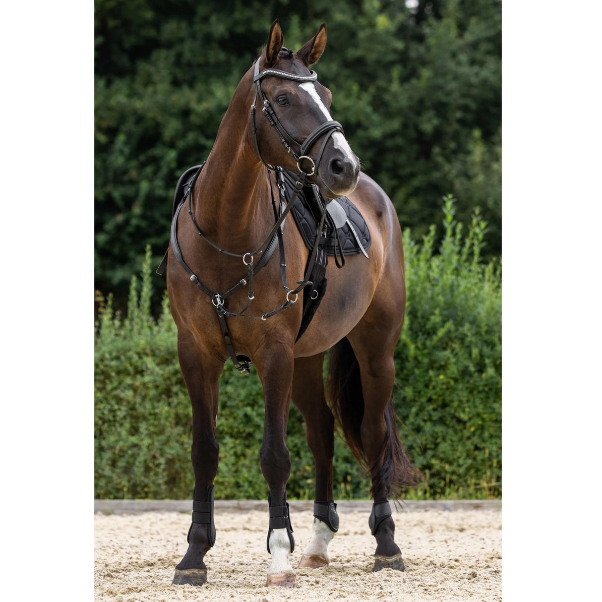 Bridle Clincher Black