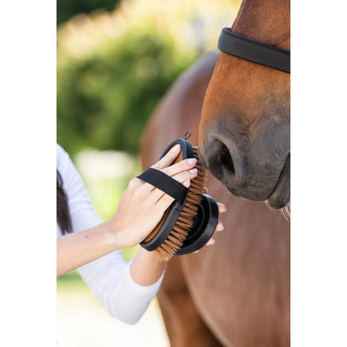 Harja Horse Brush Deluxe