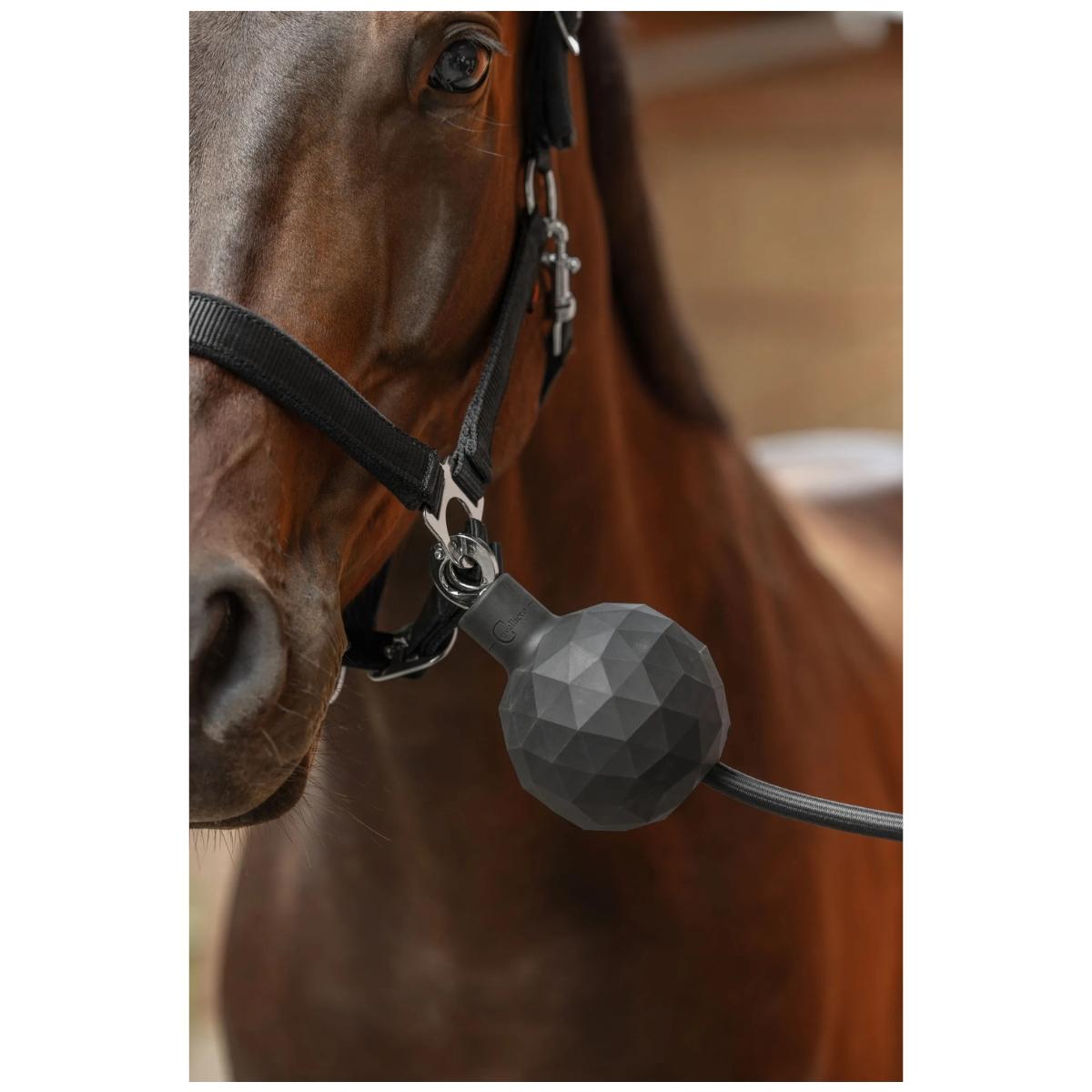 Rubbel Ball Tether Protection