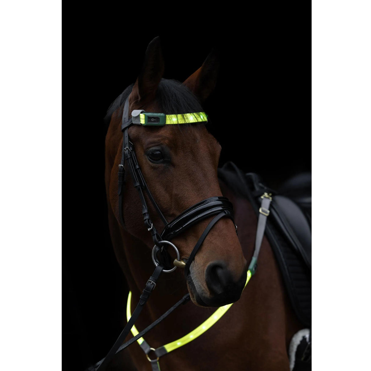 Heijastin Otsapanta Reflective LED Brow Strap
