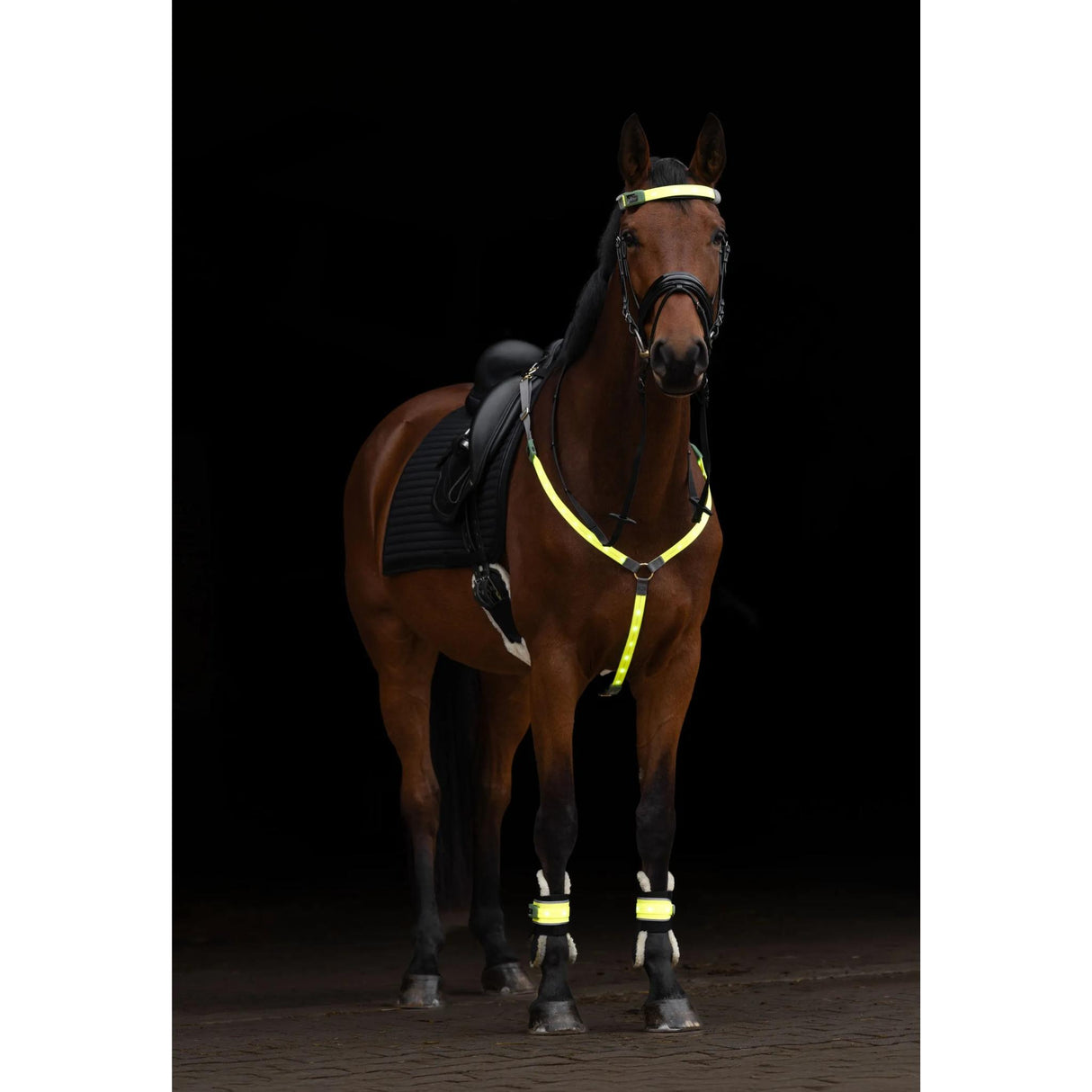 Heijastin Otsapanta Reflective LED Brow Strap
