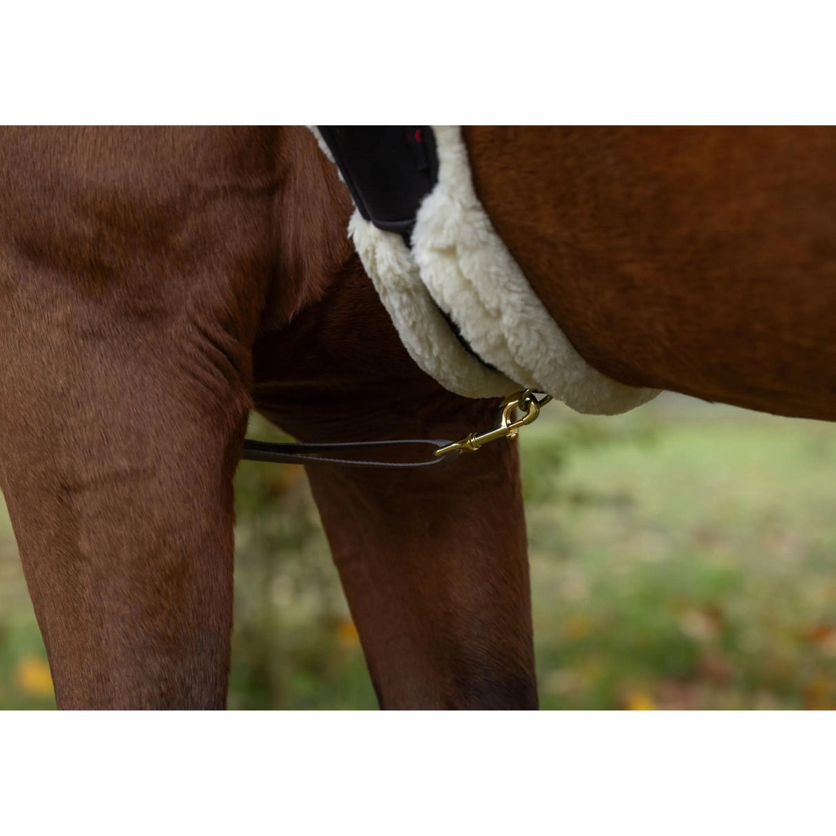 Rintaremmi Heijastin Reflective LED Breastplate