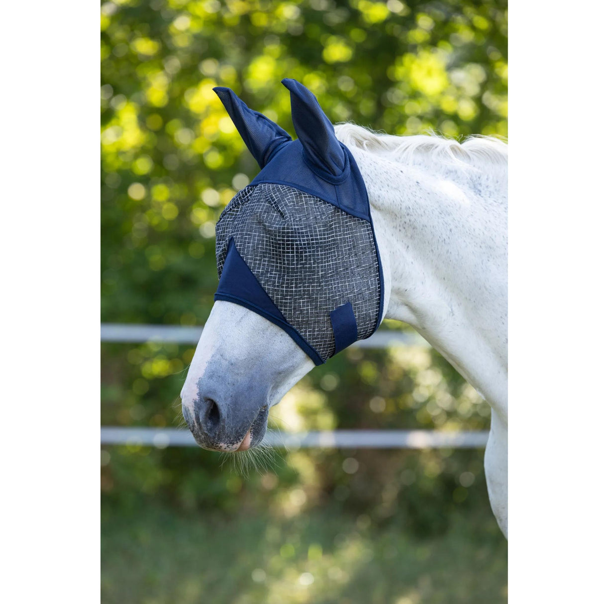 Kärpäshuppu UV-Protection
