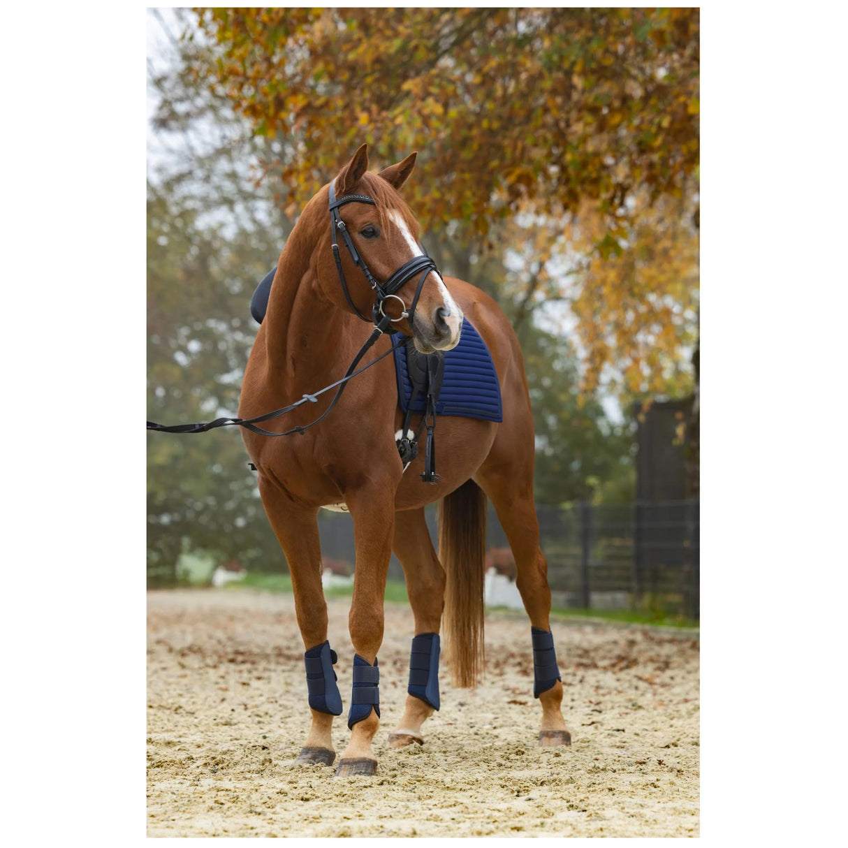 Soft Gaiters Avina