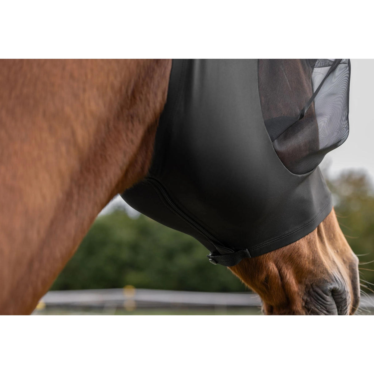 Kärpäshuppu FinoStretch Zipper