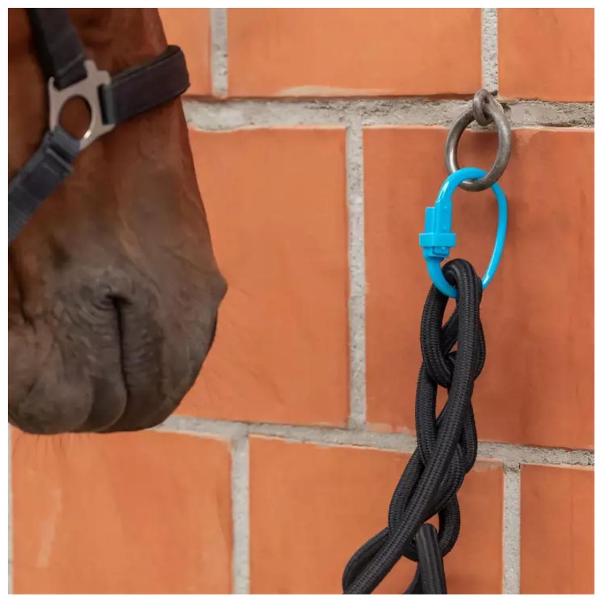 Sidontarengas Safety Tie-Down Ring 3 kpl