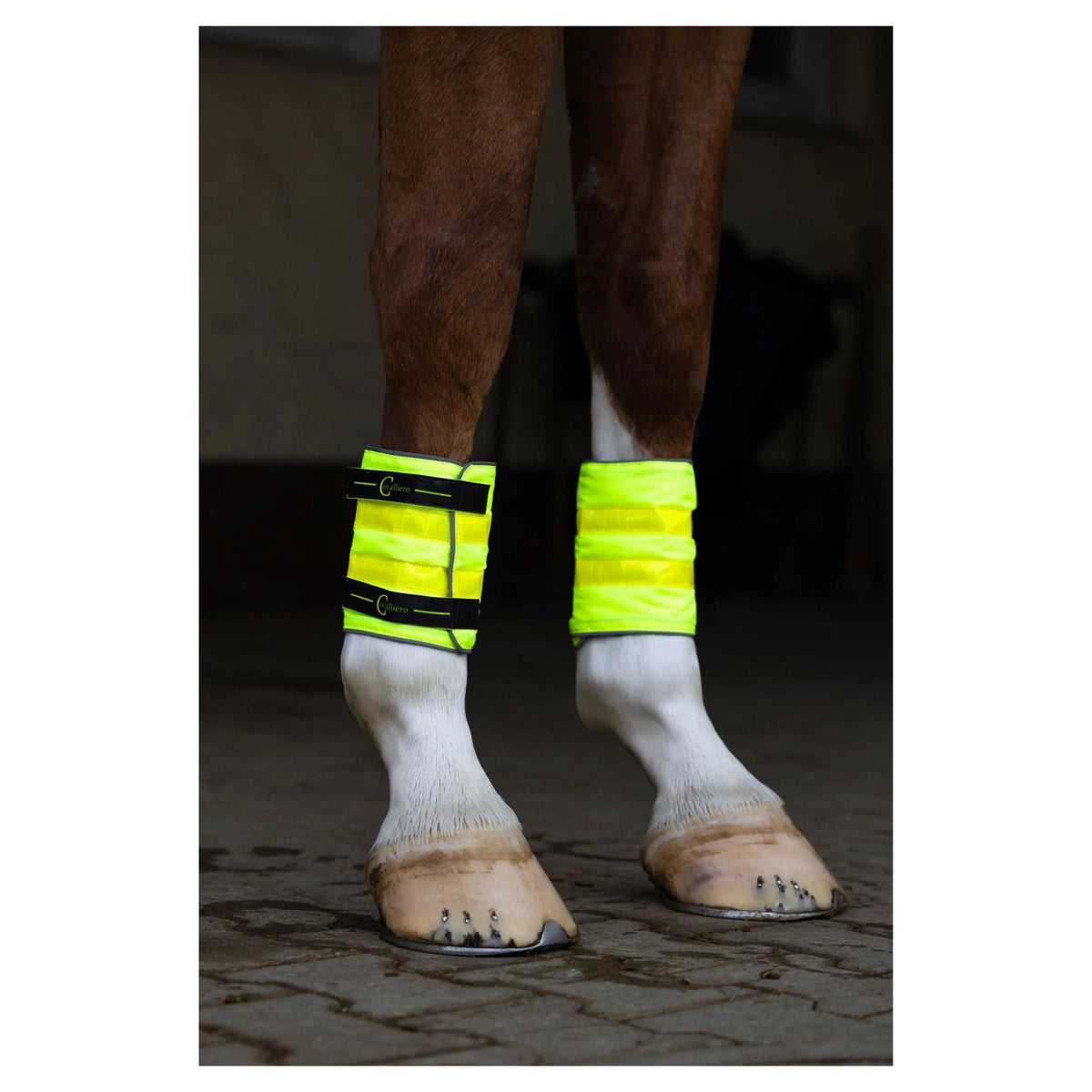 Covalliero Leg Reflectors