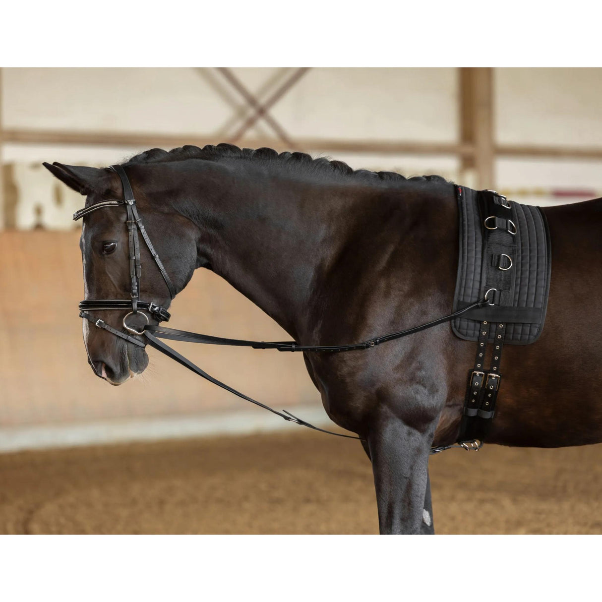 Wien Reins