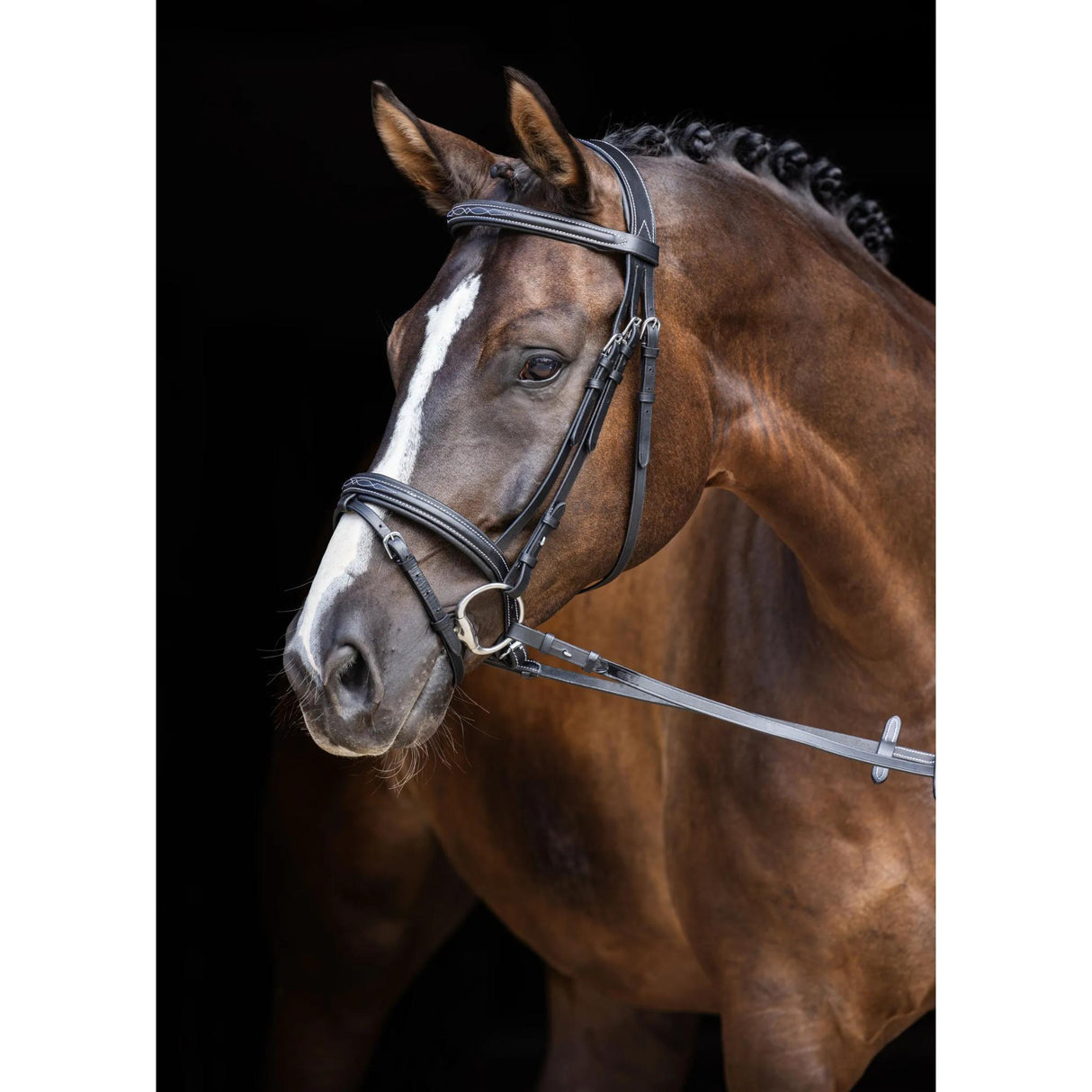Suitset ja Ohjat Classic