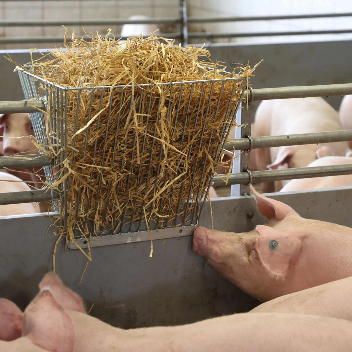 Heinähäkki 2-puolinen Double Hay Rack