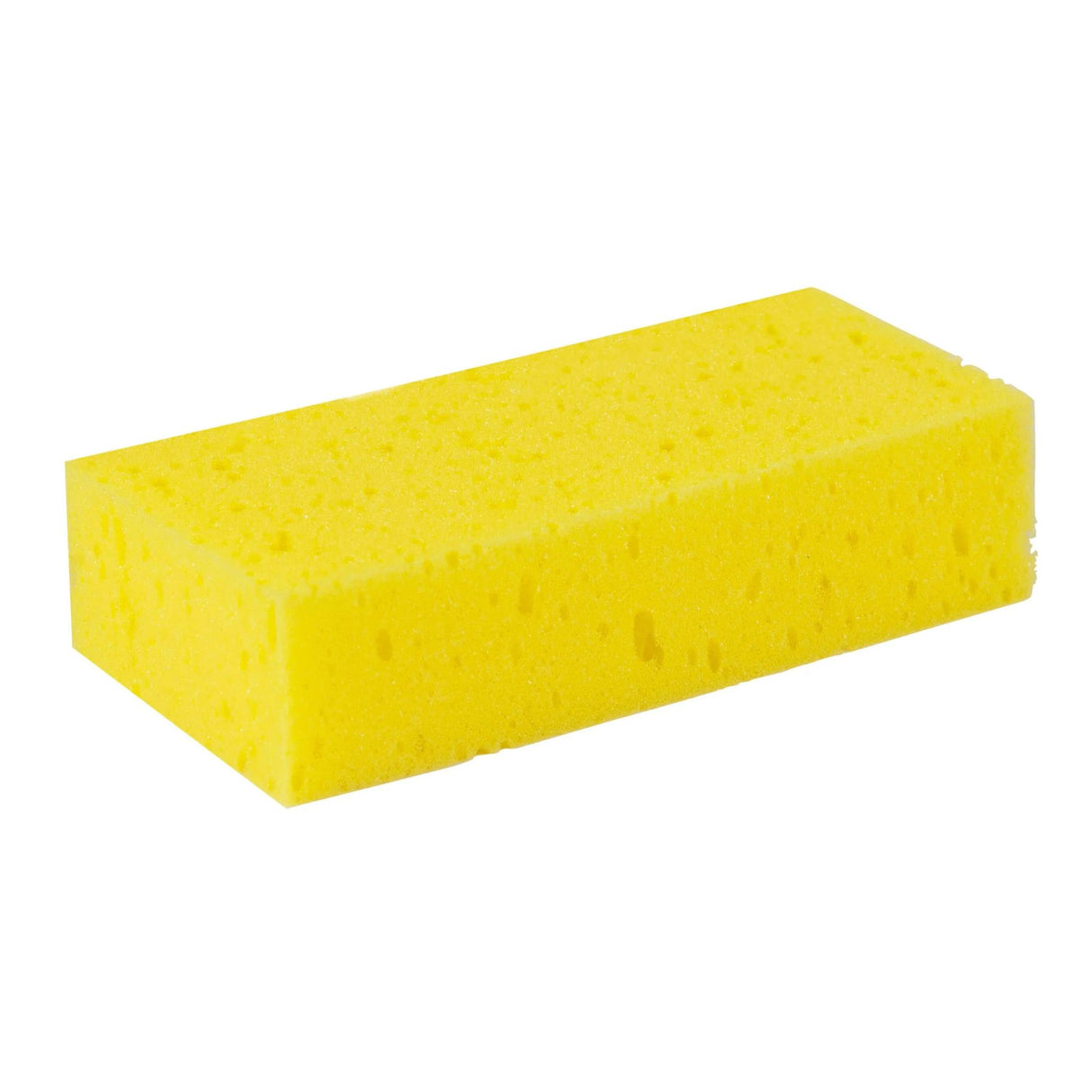 Pesusieni Grooming Sponge