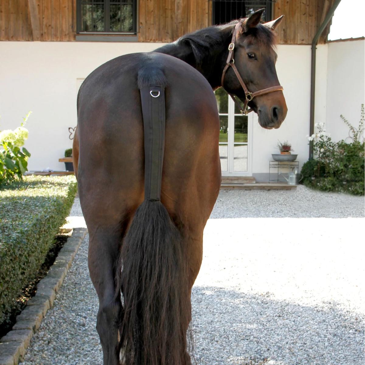 Häntäsuoja TailGuard Black