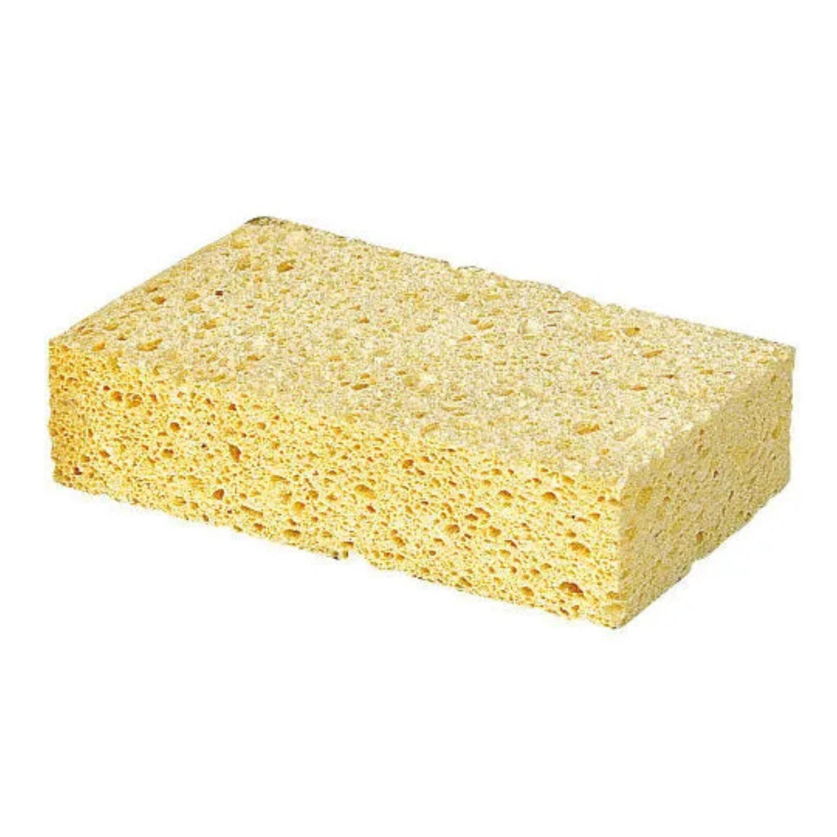 Pesusieni Viscose Sponge