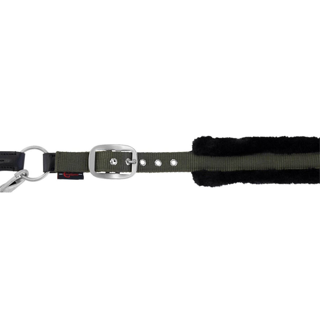 Halter Cordano