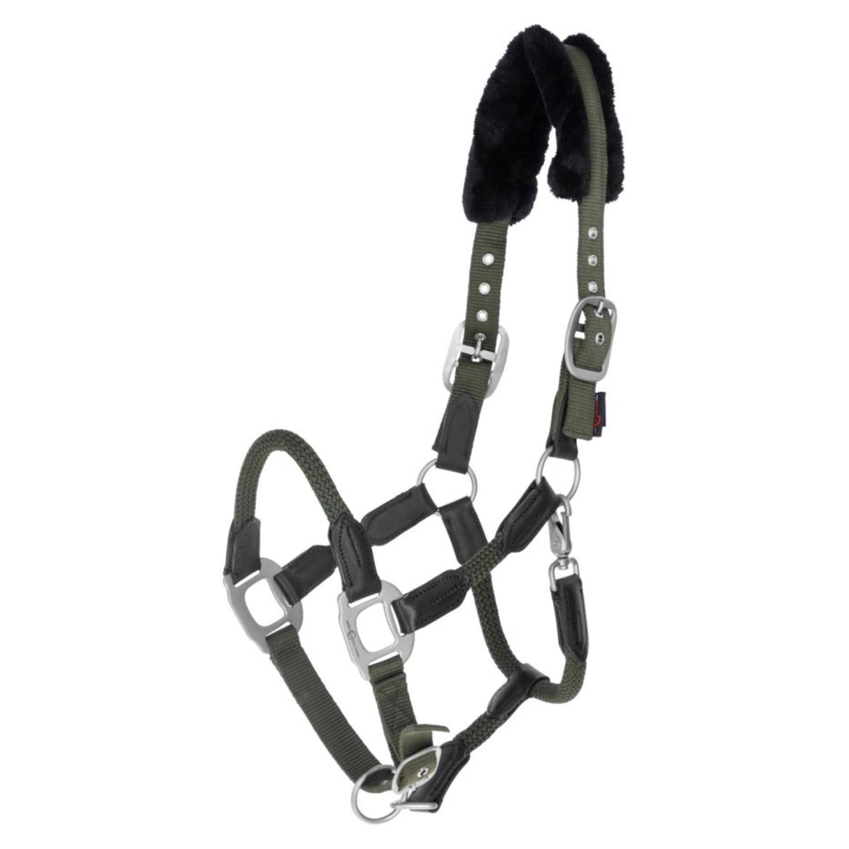 Halter Cordano