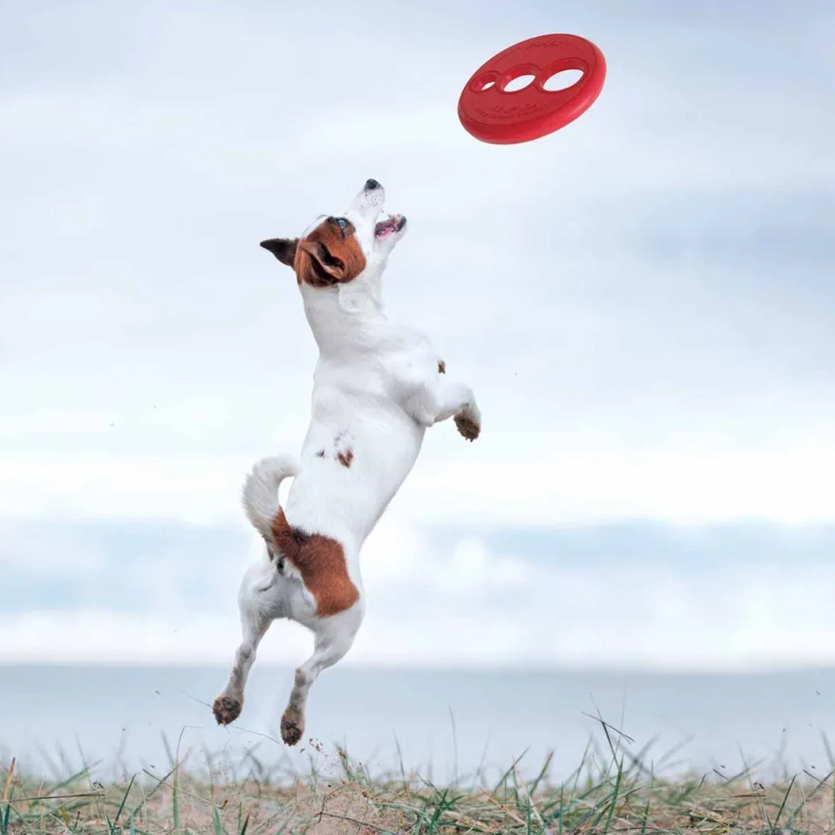 Kelluva Frisbee RFO