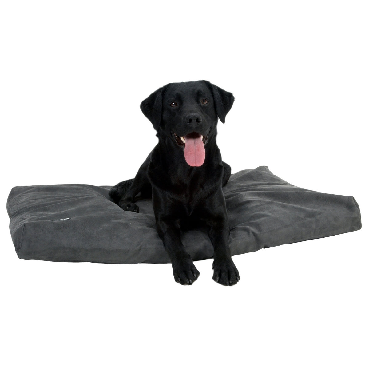 Peti Memory Foam