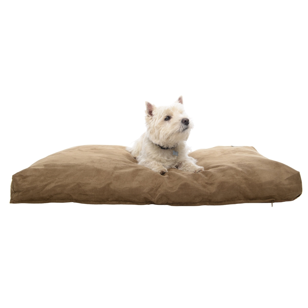 Peti Memory Foam