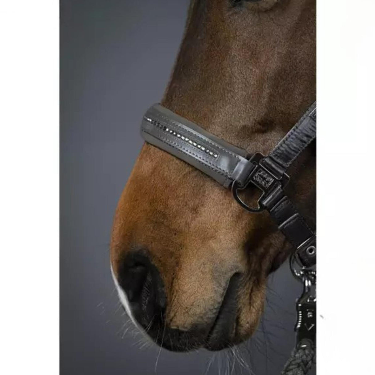 Eskadron Riimu Classic Sport Douplepin Satin Crystal Fossil