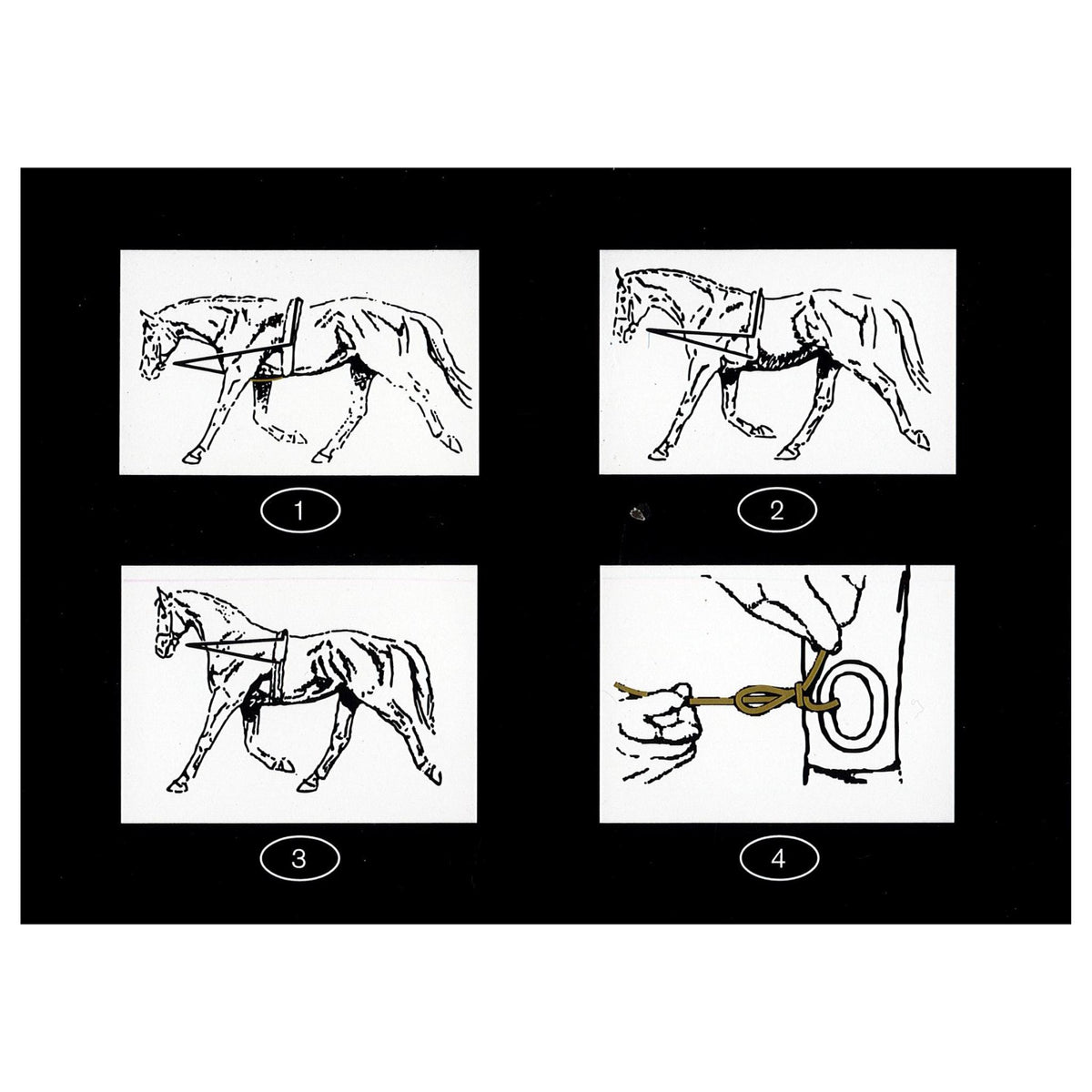 Lunging Aid Side Rope