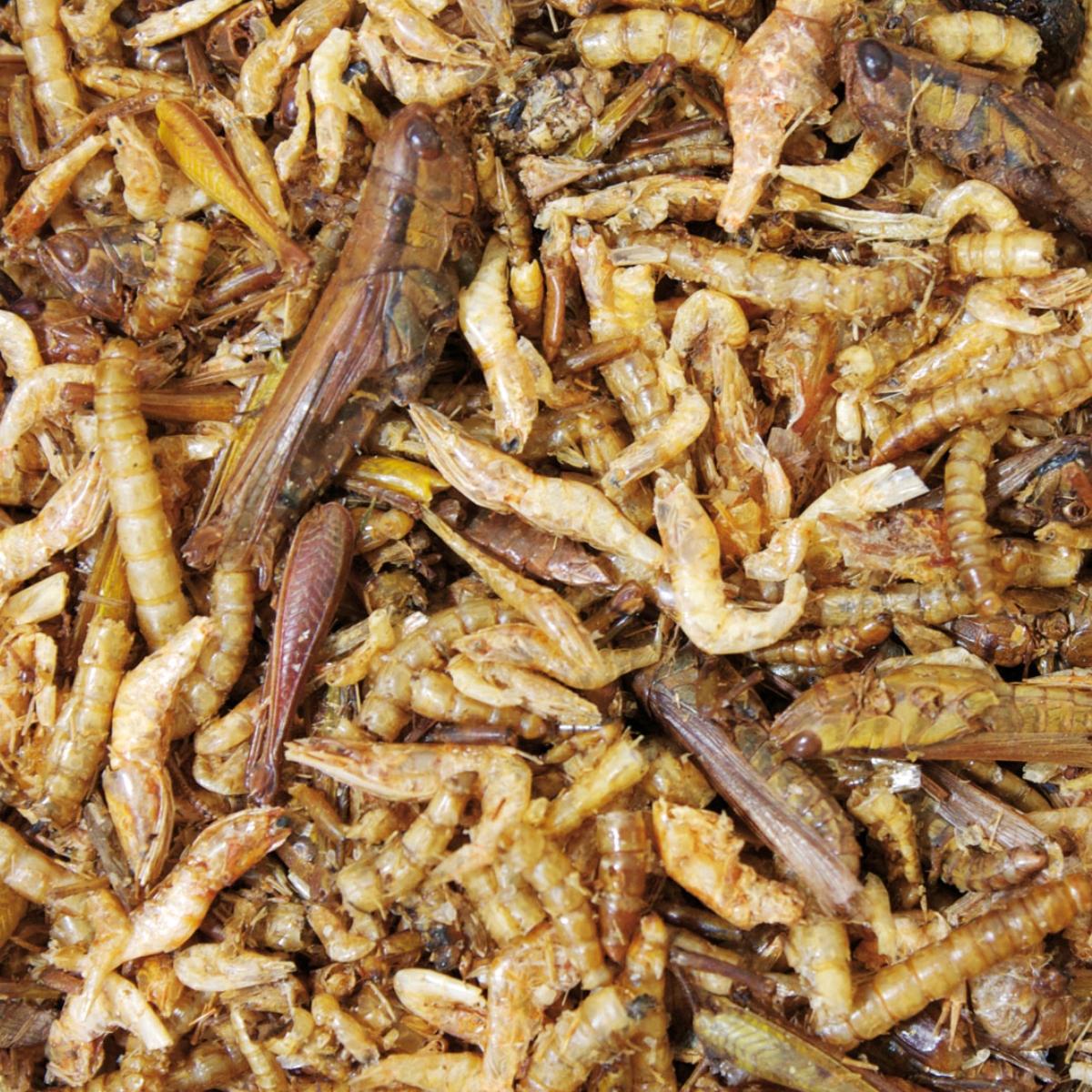 Proteiini Cocktail 75g