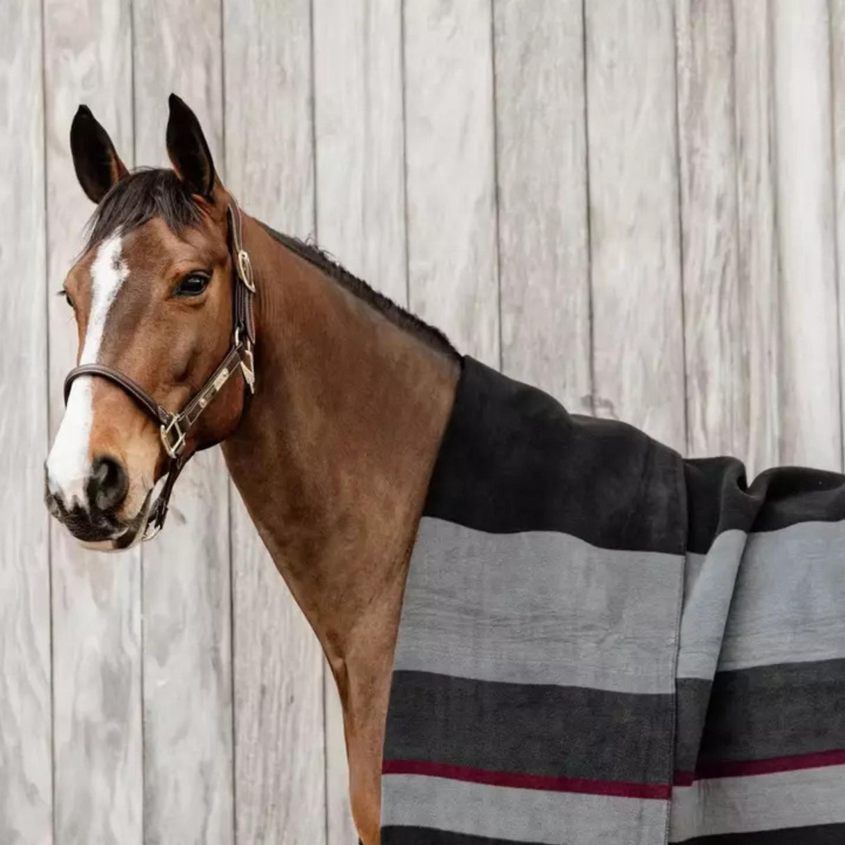 Heavy Fleece Rug Square Stripes