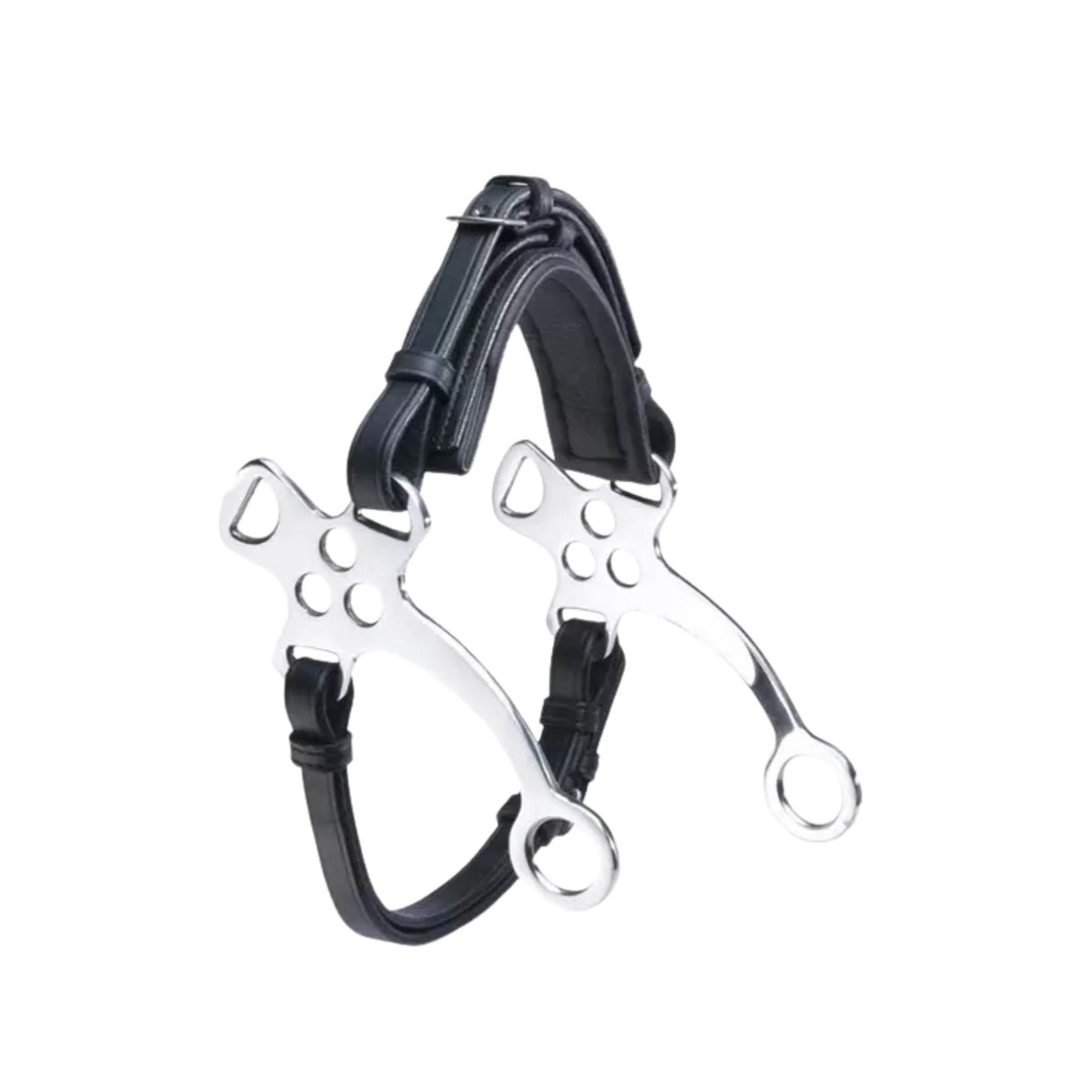 Hackamore