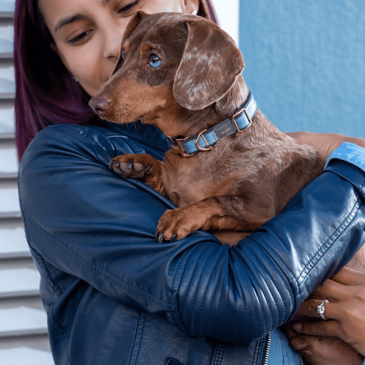 Kaulapanta Urban Classic Collar Turquoise