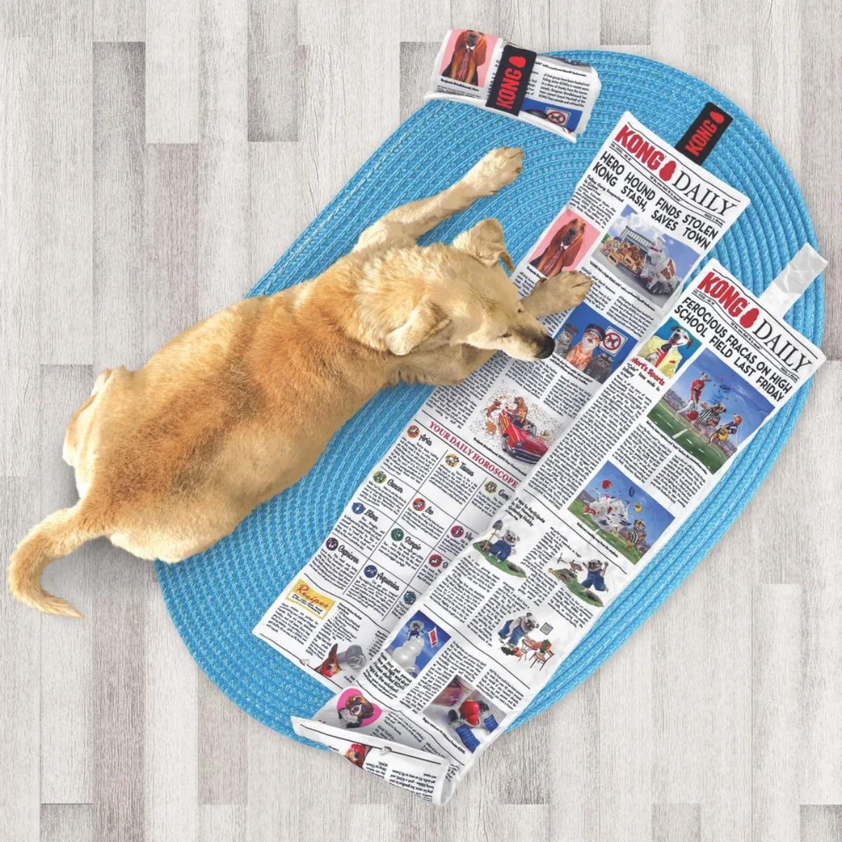 Vetolelu Daily Newspaper