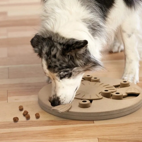 Aktivointilelu Dog Worker