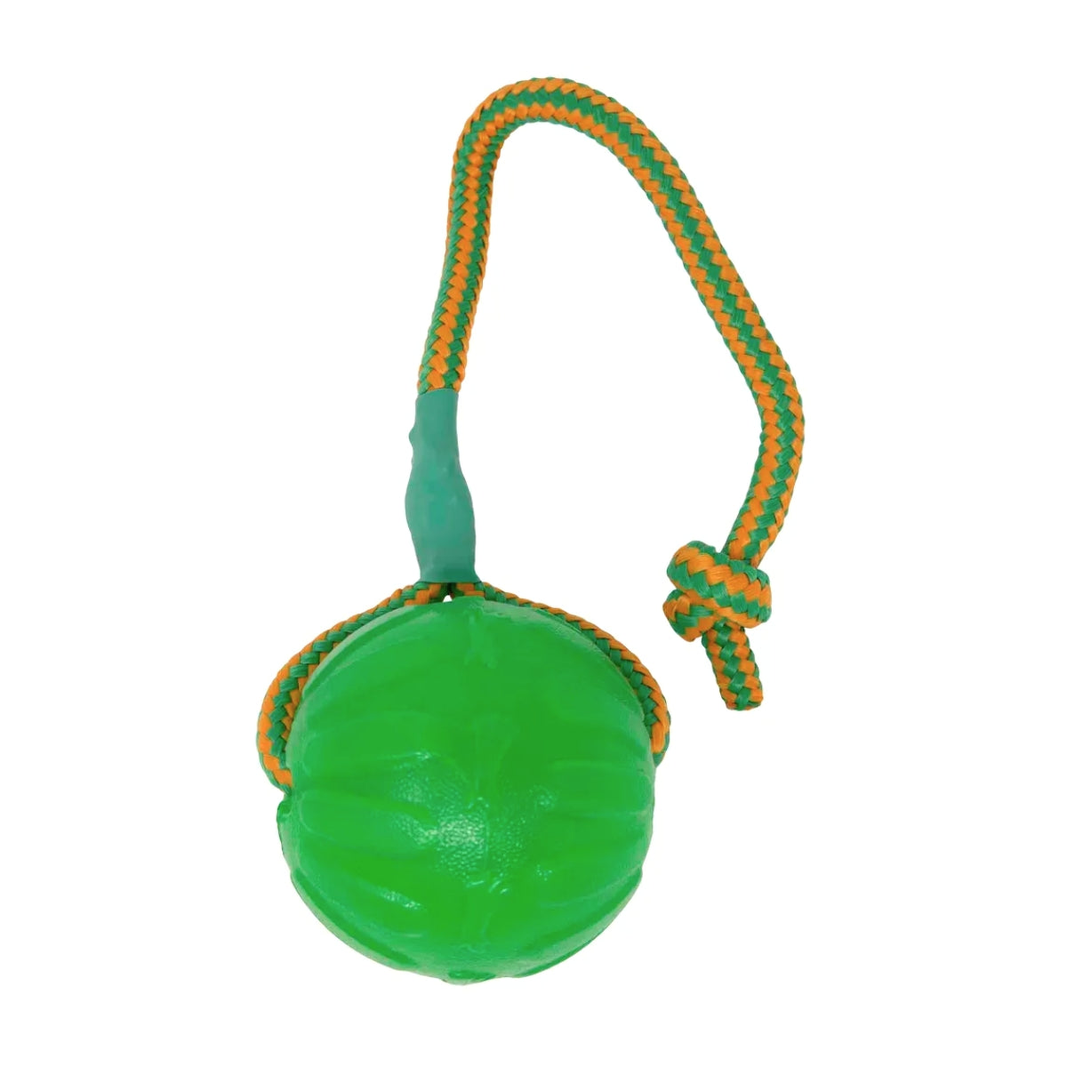 Lelupallo Swing n' Fling Chewball