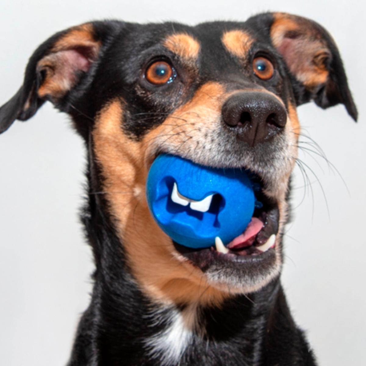 Aktivointipallo Fred Treatball