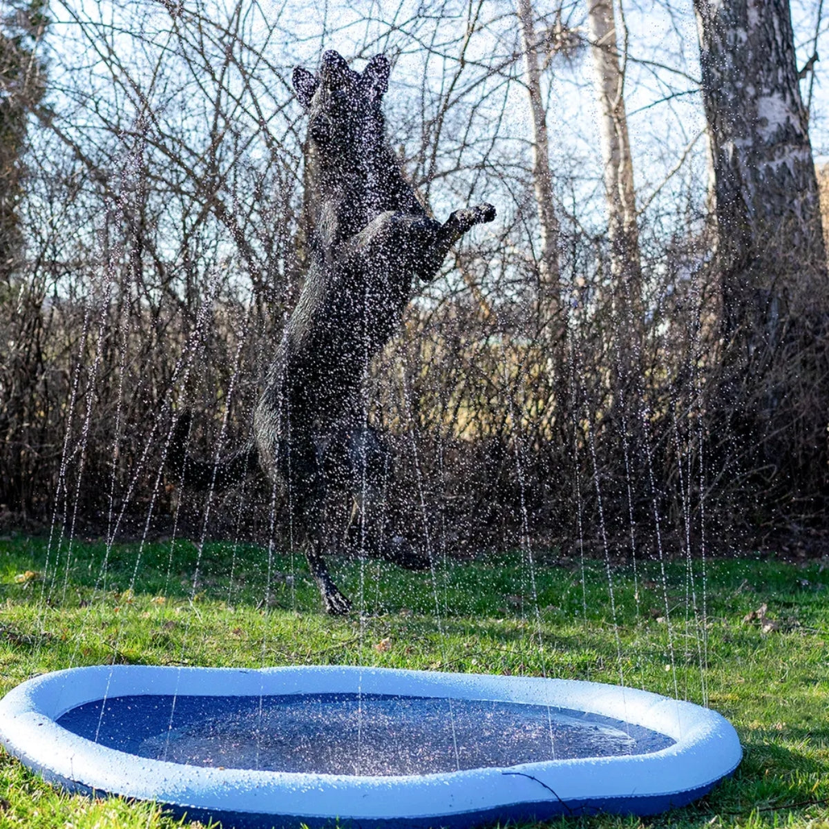 Suihkulähdeallas Splash Pool