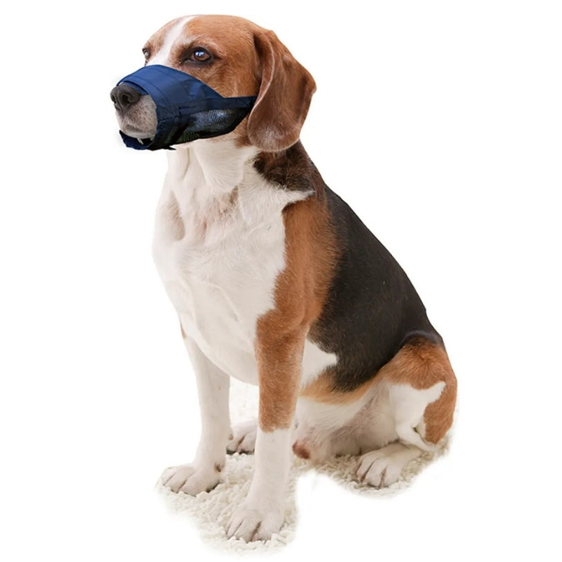 Koiran Nailoninen Kuonokoppa
